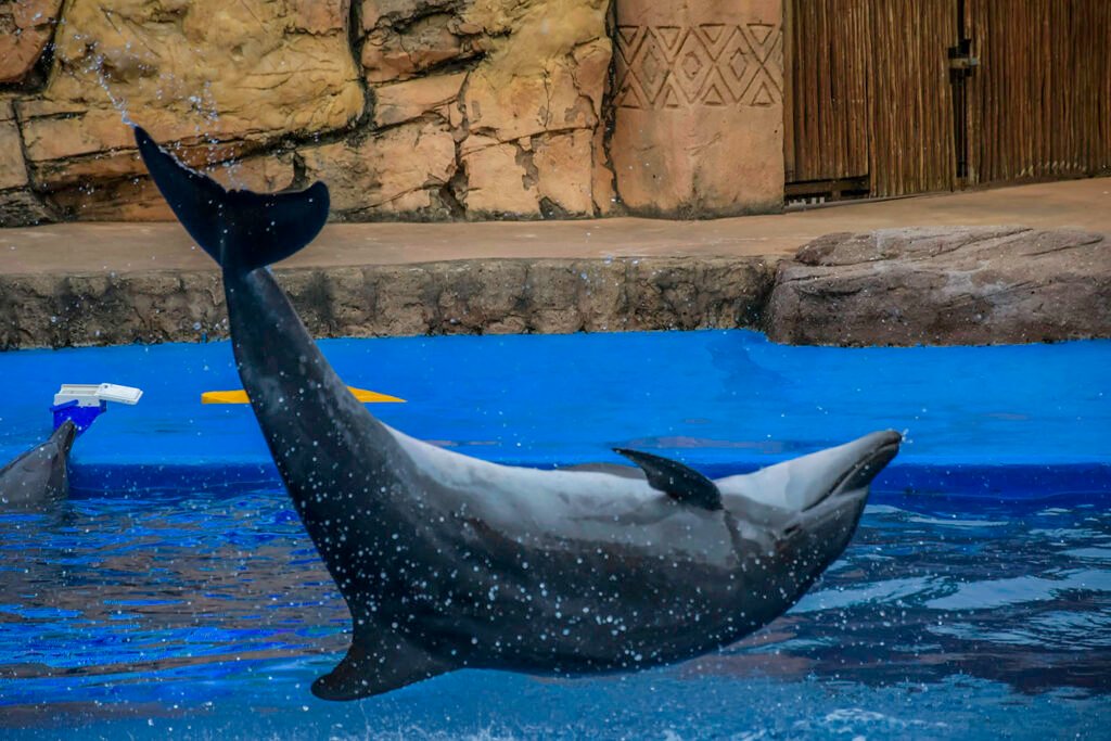 Ushaka-marine-world-durban